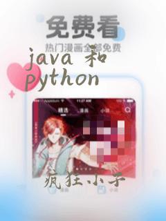 java 和 python