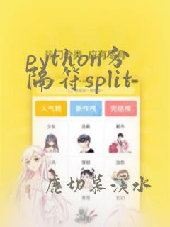 python分隔符split