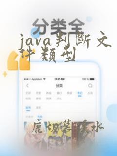 java判断文件类型