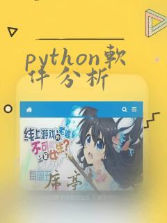 python软件分析