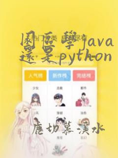 园区学java还是python