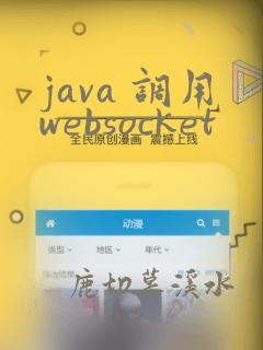 java 调用websocket