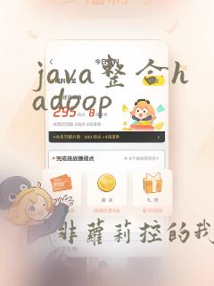java整合hadoop