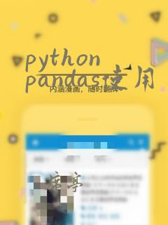 python pandas使用