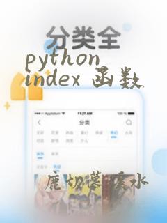 python index 函数