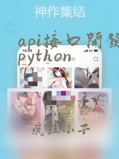 api接口开发python