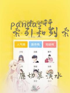 pandas行索引和列索引