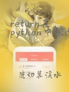 return在python中用法举例