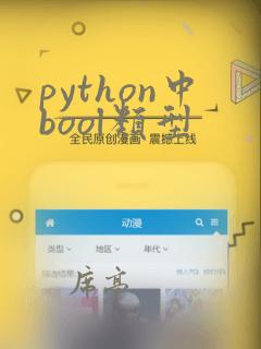 python中bool类型