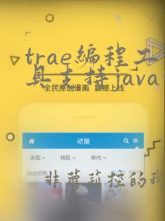 trae编程工具支持java吗
