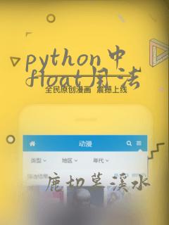 python中float用法