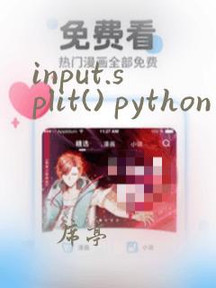 input.split() python