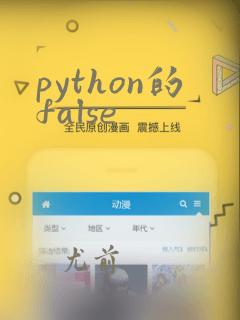 python的false