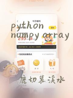 python numpy array