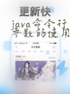 java命令行参数的使用方法