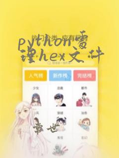 python处理hex文件