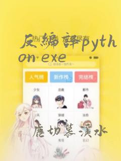 反编译python exe