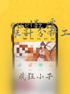 excel数据统计分析工具