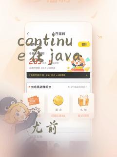continue在java