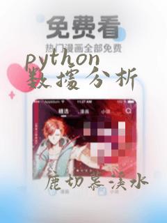 python 数据分析