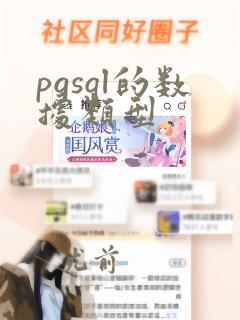 pgsql的数据类型