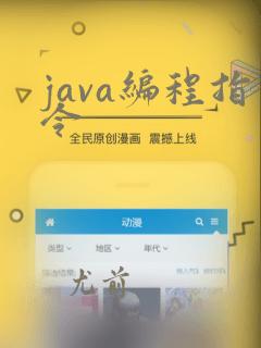 java编程指令