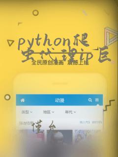 python爬虫代理ip巨量http