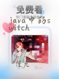 java中的switch
