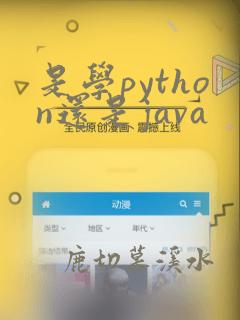 是学python还是java