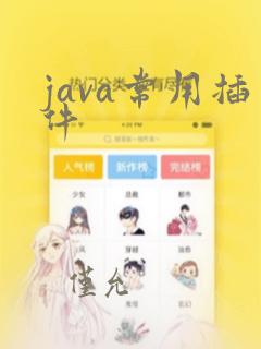 java常用插件