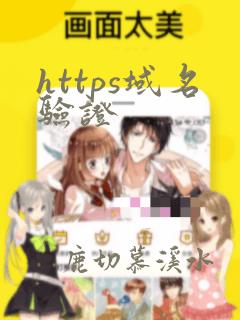 https域名验证