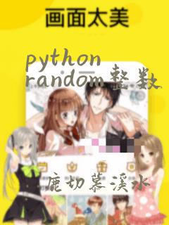 python random整数