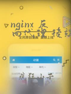 nginx 反向代理 后端https