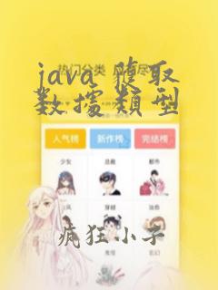 java 获取数据类型