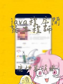 java程序开发工程师