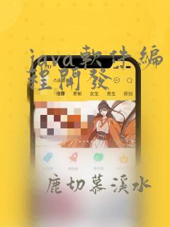 java软件编程开发