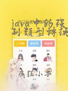 java中的强制类型转换