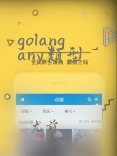 golang any类型