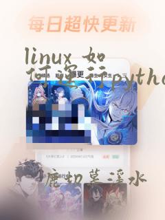linux 如何运行python