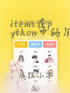 items在python中的用法