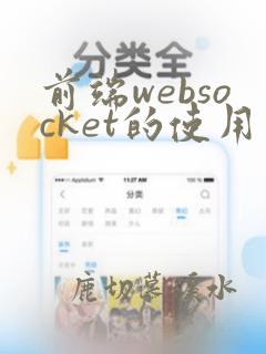 前端websocket的使用