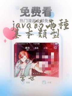 java的两种基本类型