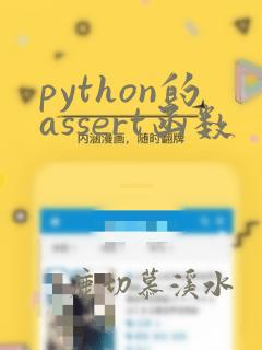 python的assert函数