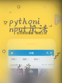 pythoninput用法