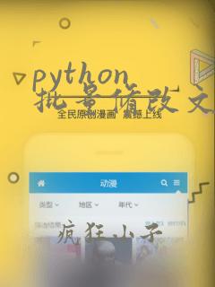 python 批量修改文件名称