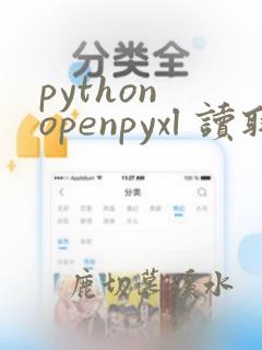 python openpyxl 读取excel