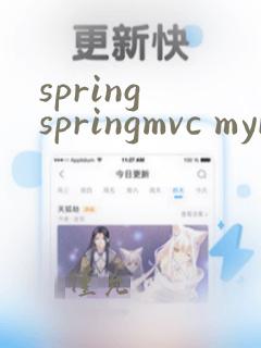 spring springmvc mybatis框架技术精讲