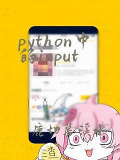python中的input