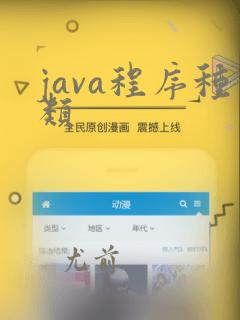java程序种类