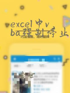 excel中vba强制停止